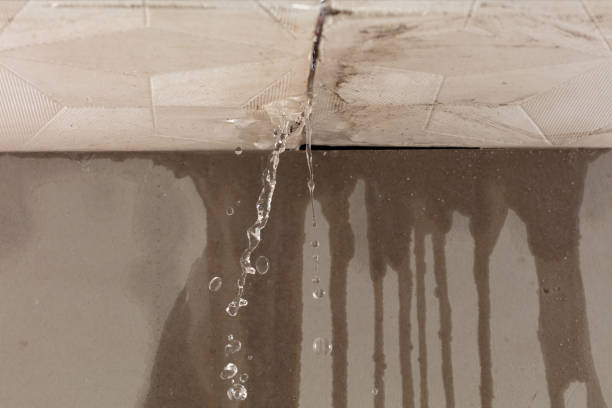 Professional Water Damage Repair technician working in Hillsboro, IL